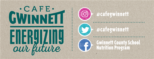 Gwinnett Energizing our Future social media information 